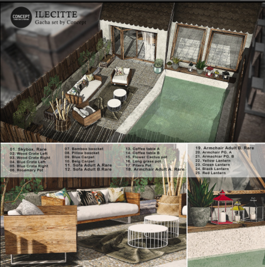 CONCEPT} *11. ILECITTE. SOFA A ADULT. RARE