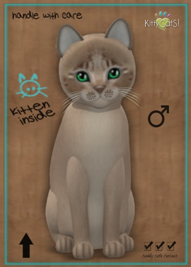MEGAPUSS: KittyCatS Box - Genesis - Mocha - MegaPuss