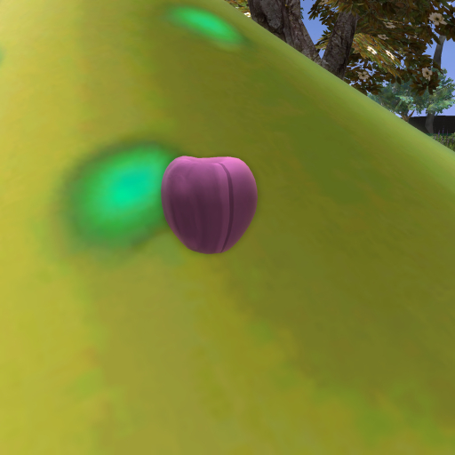 {Papillon} Ma/Dim/Dul/EmB/DarkA/Turtle Egg