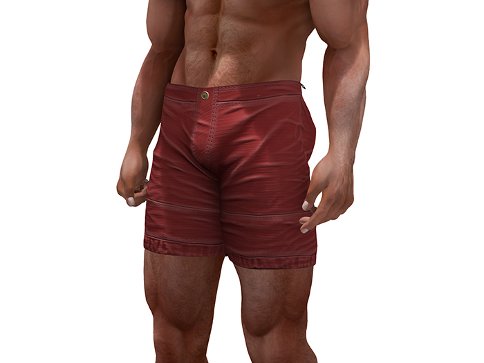 TwoSided Trevor shorts