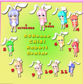 08-  BSHouse CHIBI Rabbit  AVATAR