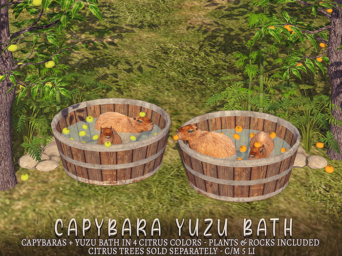 Magnetic - Capybara Yuzu Bath