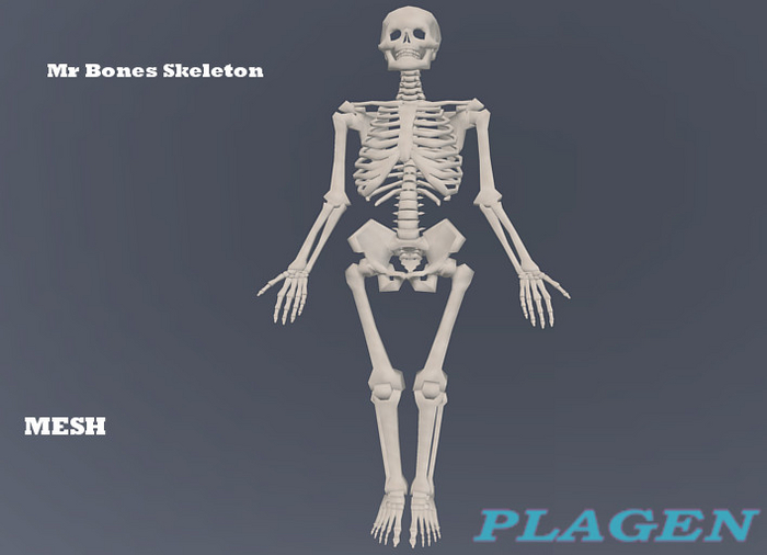 Mr Bones Skeleton   - PLAGEN  (ADD)