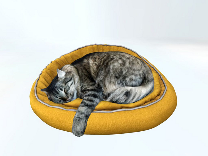 YellowCatBed - [MyStory]
