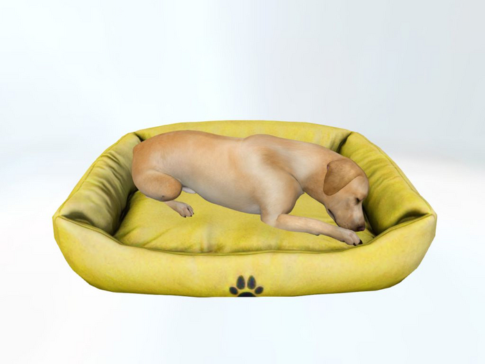 YellowDogBed - [MyStory]