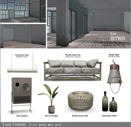 Soy. Grayish day Skybox - RARE