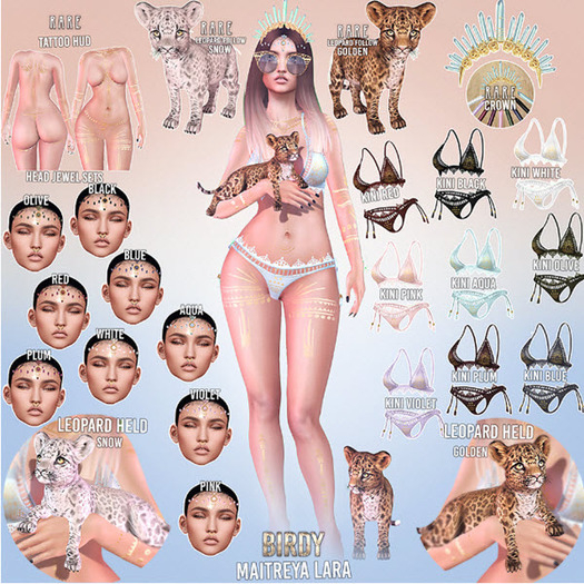 Birdy - Festival - Leopard Follow - Snow RARE