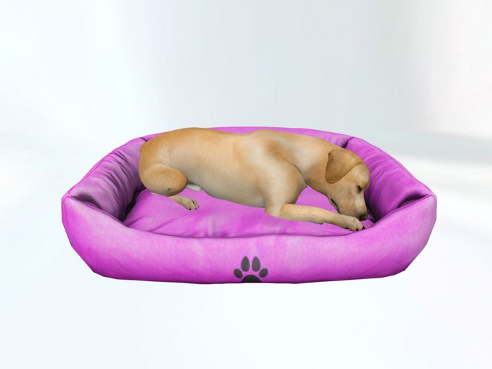 PinkDogBed - [MyStory]