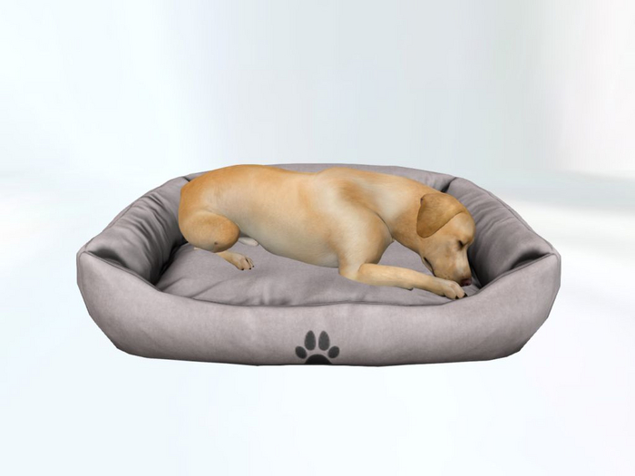 GreyDogBed - [MyStory]