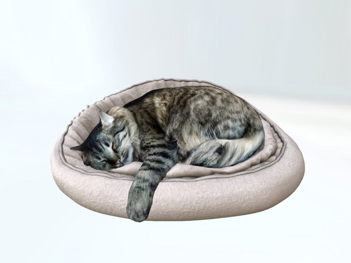 GreyCatBed - [MyStory]