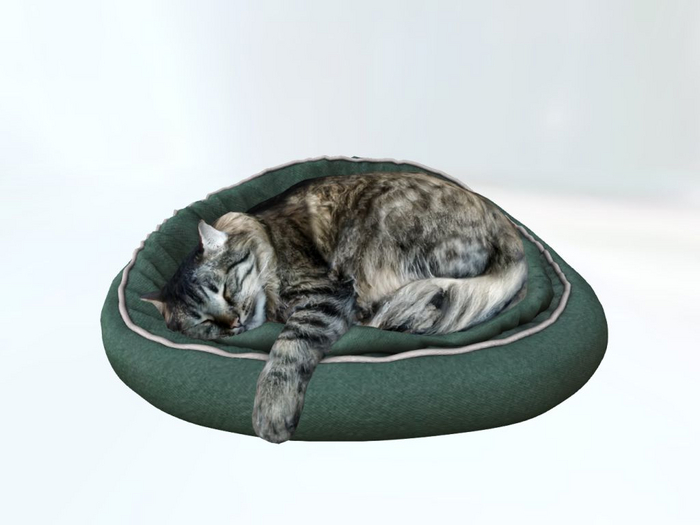 GreenCatBed - [MyStory]