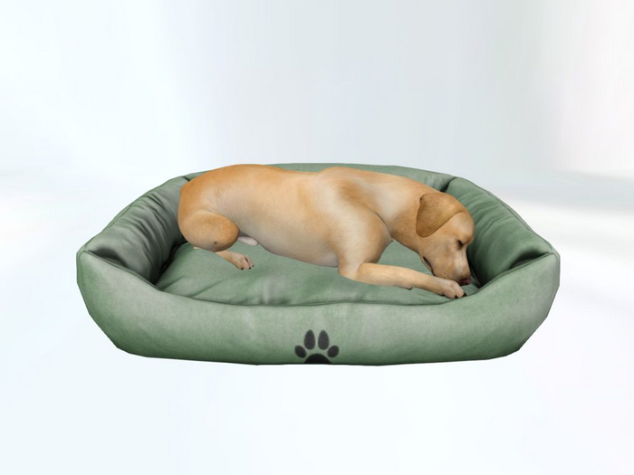 GreenDogBed - [MyStory]