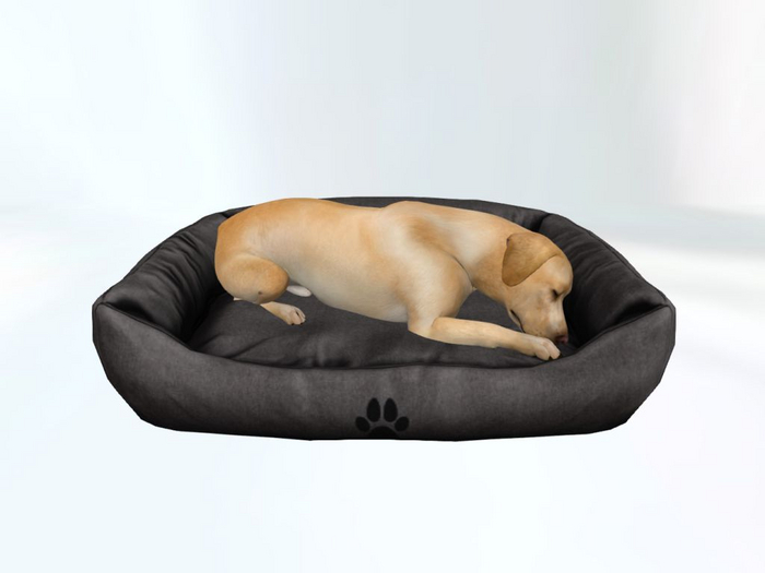 BlackDogBed - [MyStory]