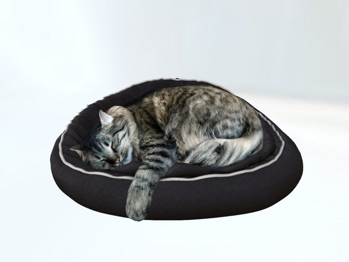 BlackCatBed - [MyStory]