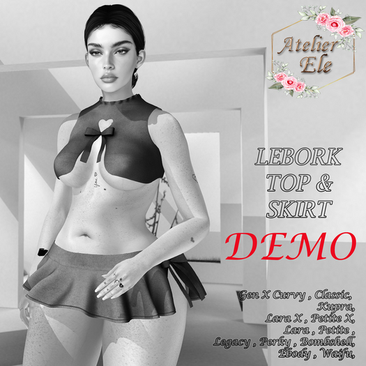 {AE} [ DEMO ] LEBORK  TOP & SKIRT