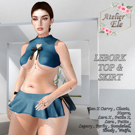 {AE} LEBORK  TOP & SKIRT