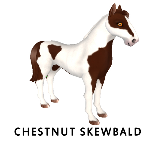 WhimsicalOceanSafirWChestSkew F
