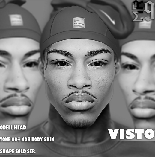 Visto Skin Demo (ODELL)
