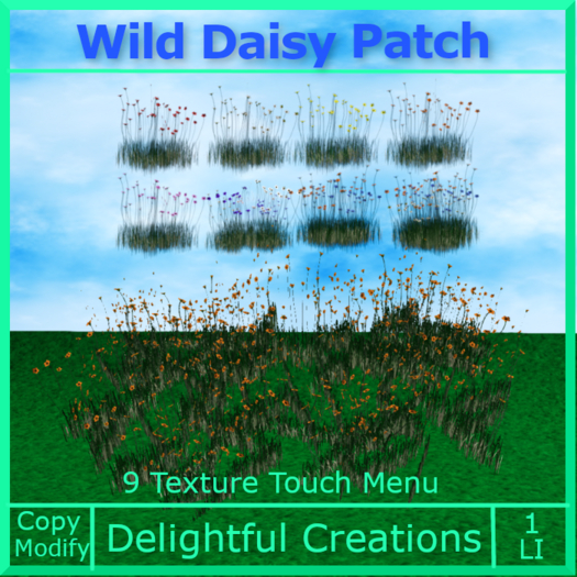 Wild Daisy's Flower Patch