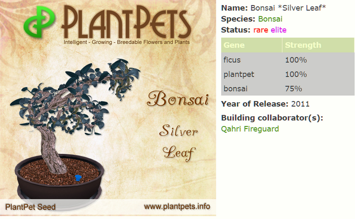 PlantPet Seed [Bonsai *Silver Leaf*]