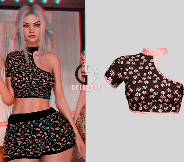 Galagher - Sofia Top Edition 8