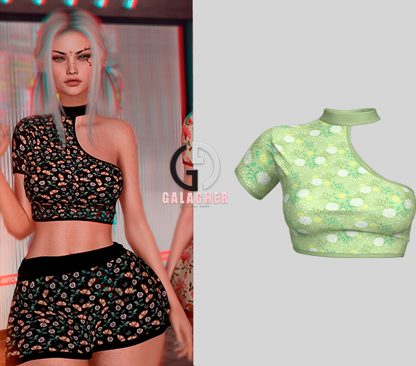 Galagher - Sofia Top Edition 4