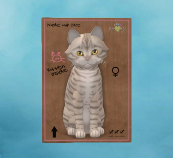 Toyger - Snow - Petite