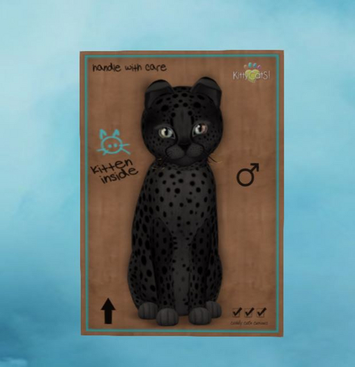 Cheetah! - Exotic Black - Butterscotch