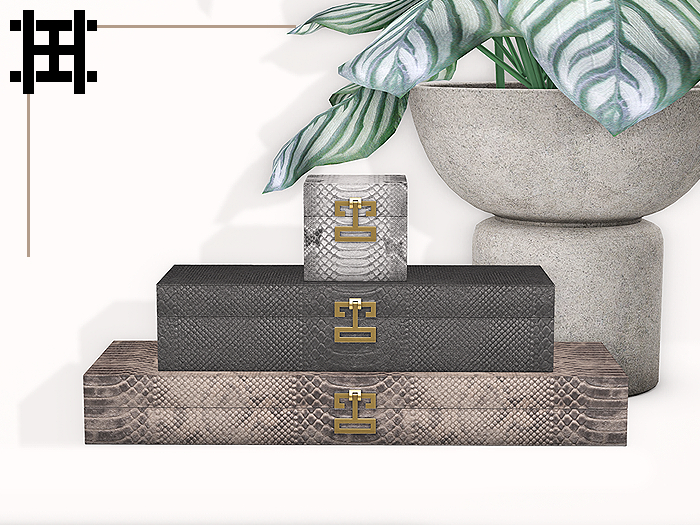 Hervae Home : Crawford Decorative Boxes