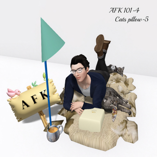 AFK 101-4 CATS PILLOW BOX