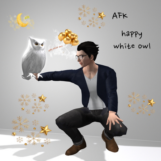 29 AFK happy white owl Box
