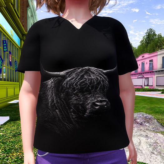 T-Shirt Highland Coo black