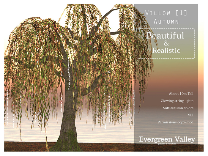Willow [1] Autumn