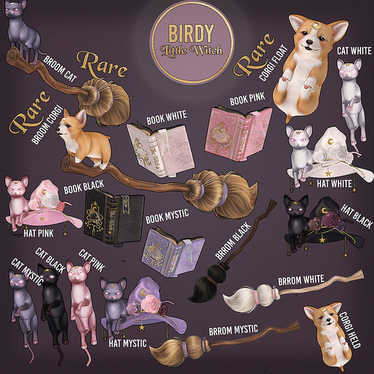 Birdy - Little Witch - Corgi Floaty - RARE