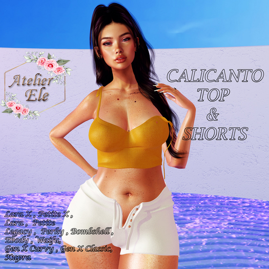 {AE}  CALICANTO SHORTS & TOP