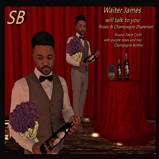 SB  Waiter James  with  Dispenser& talk