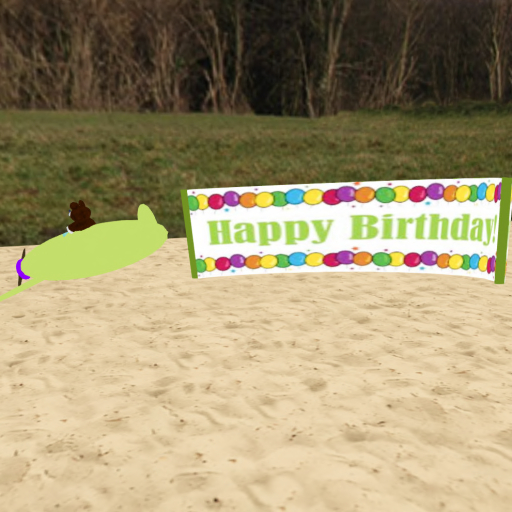 Happy Birthday Bear In Plane