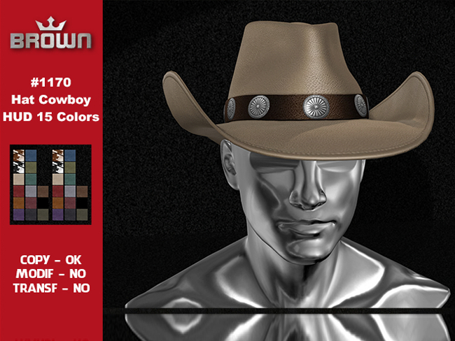 1170 Hat Cowboy Cowgirl UNISEX HUD 18 Colors V2 (BOX)