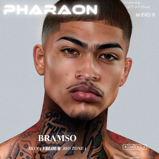 PHARAON - BRAMSO  / Skin EvoX