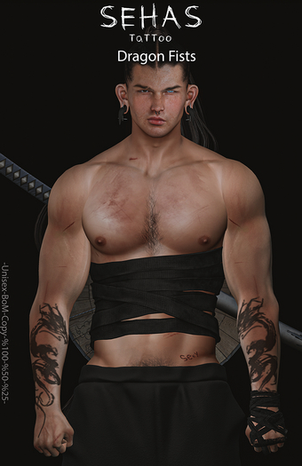 ::SEHAS::TaTToo Dragon Fists