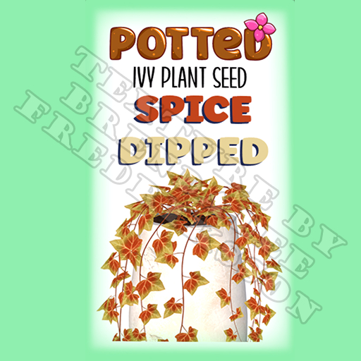 Potted: Ivy Plant Seed: Spice Dipped (ACTUAL PLANT SEED) - Retired!