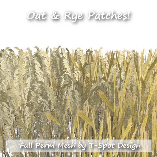 T-Spot Mesh - Oat & Rye Patches - FP - LI=1.5