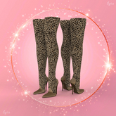 Leopard Stylist Maitreya