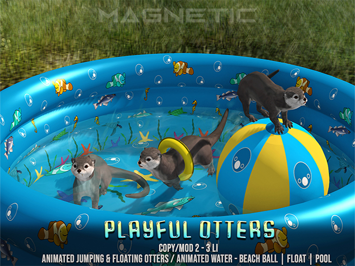 Magnetic - Playful Otters