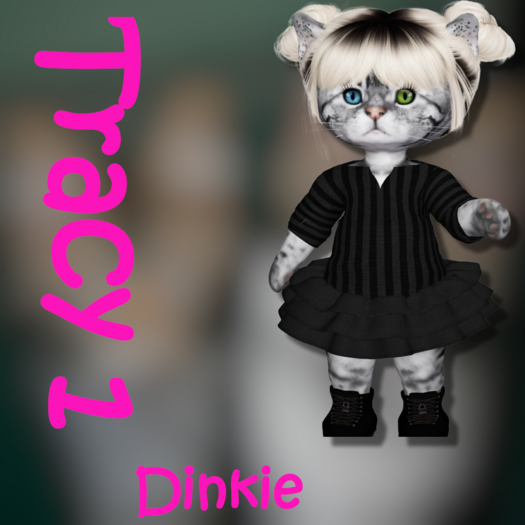 Dinkie ~Z~ Tracy 1 (please add)