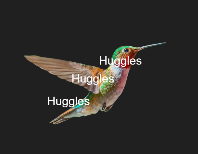 Tiny Humming Bird BOM Tattoo on belly