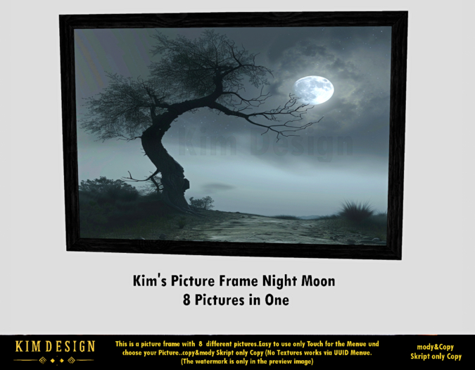 Kim's Picture Frame Night Moon