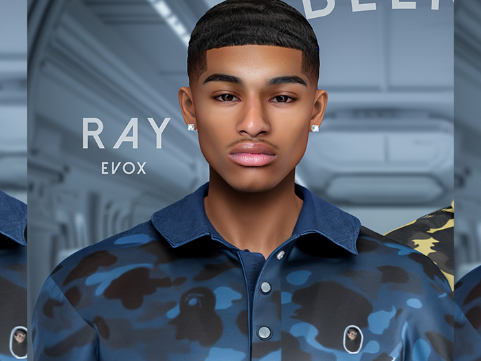 Blend.  Ray Skin (EvoX)