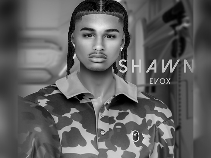 Blend. Shawn Demo