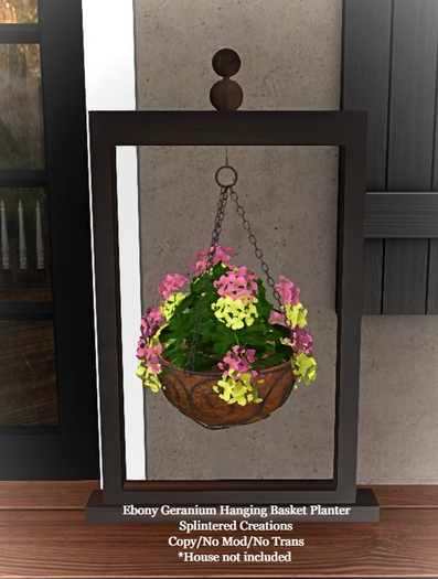 Ebony Geranium Hanging Basket Planter